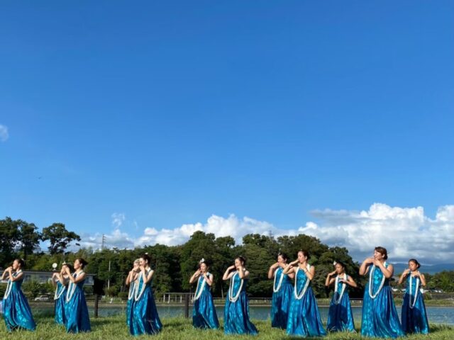 【スタジオキビス 宇都宮店（栃木県）】ダンス教室紹介：フラダンス ビギナークラス／Chihiro）